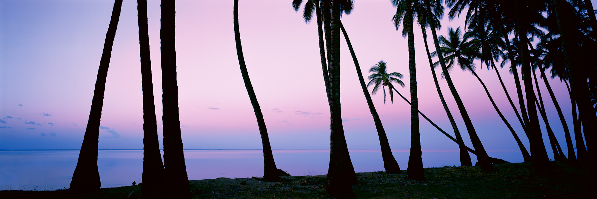 Coconut Grove, Molokai, HI
