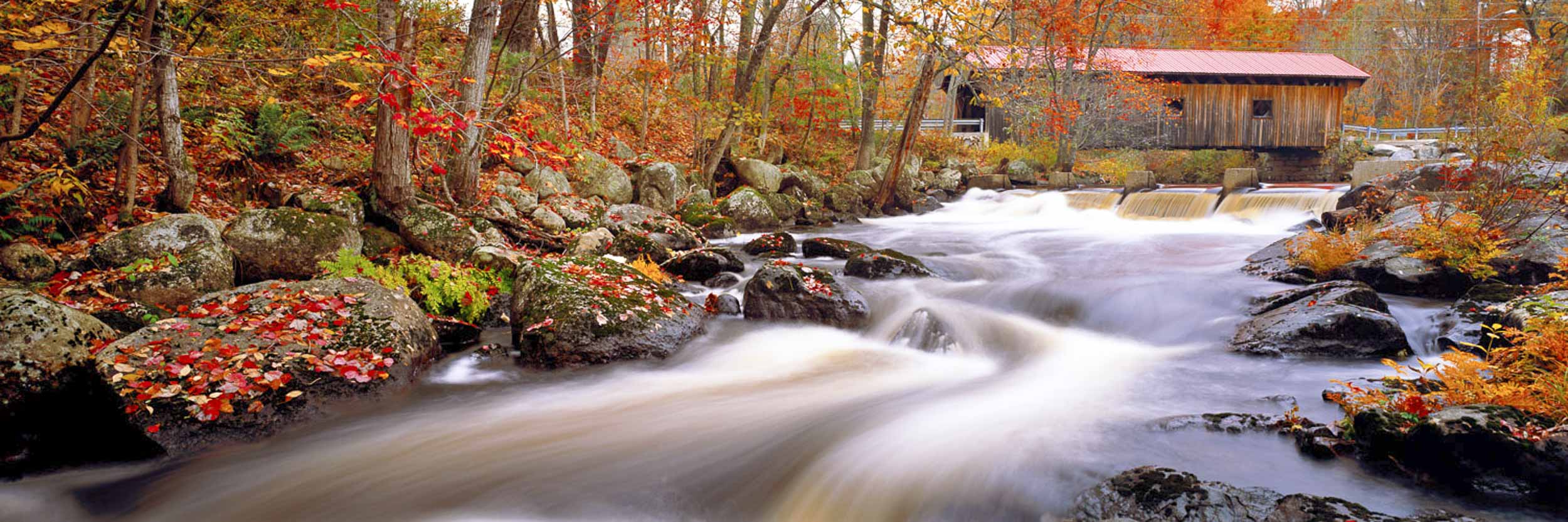 Wistful Waters, NH