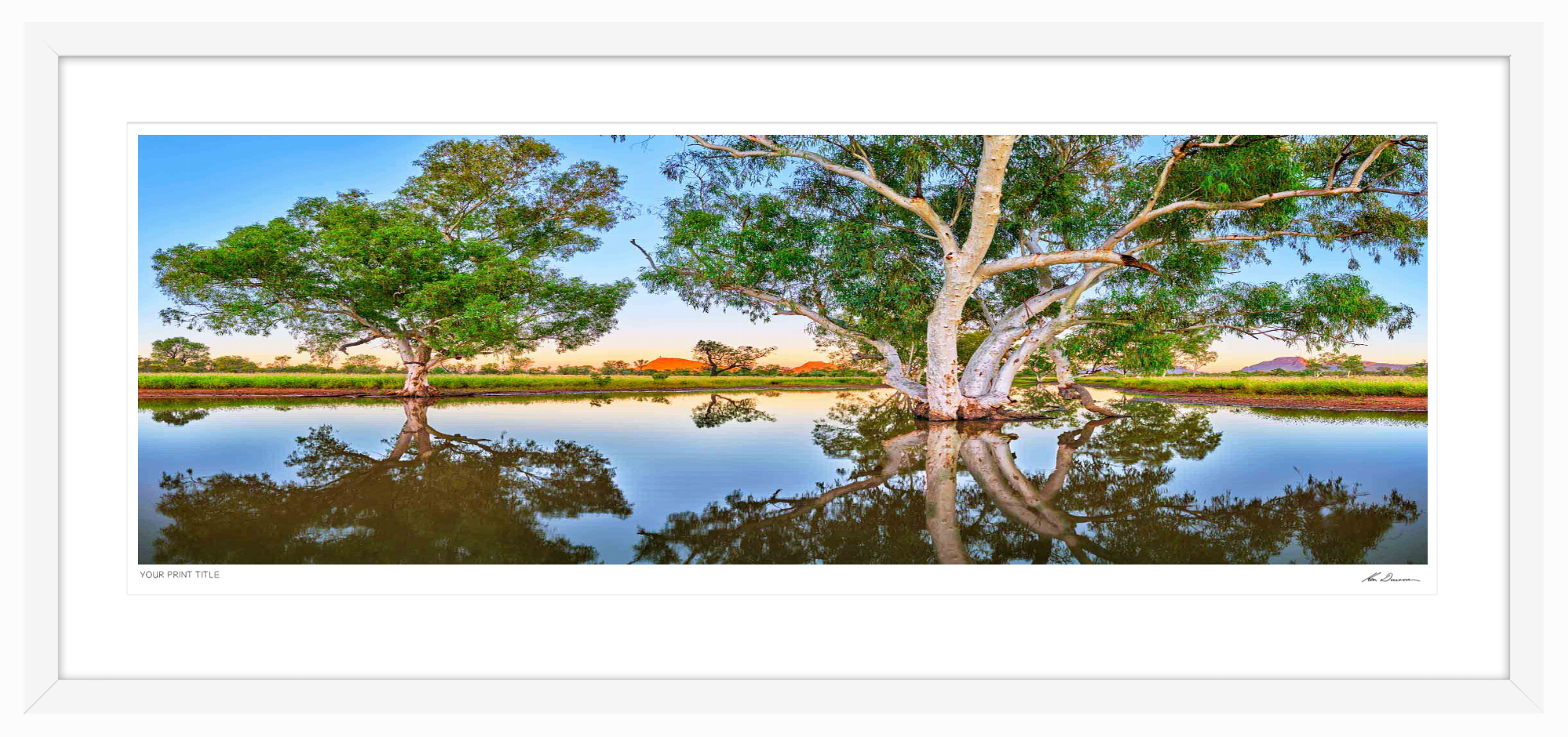 Heavenly Reflections, NT.