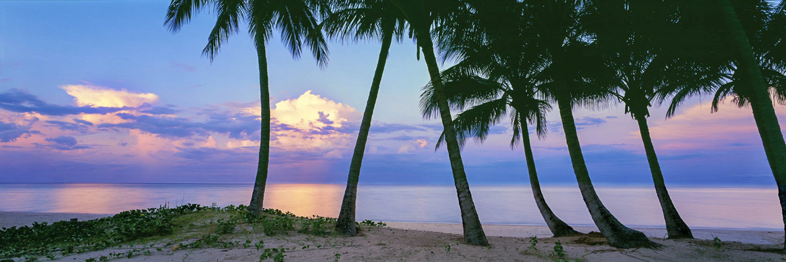 Tropical North, QLD