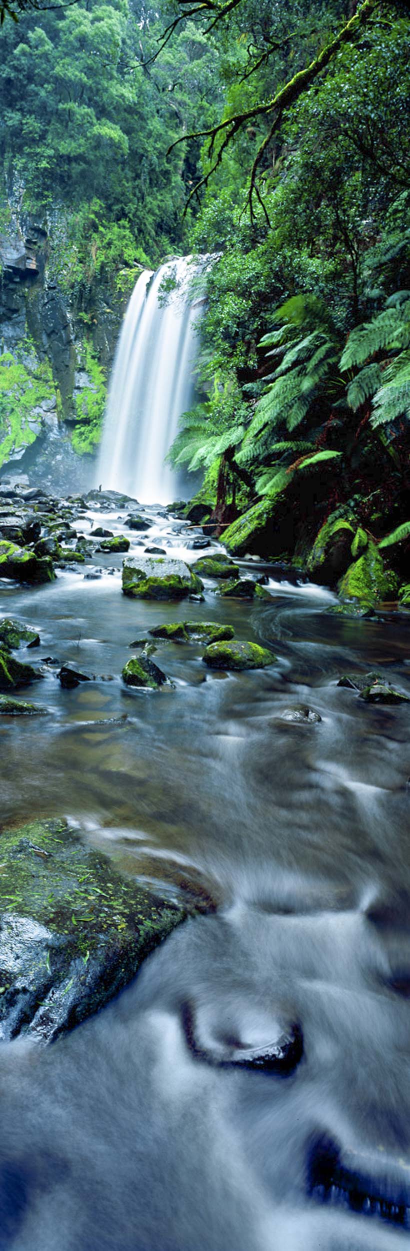 Tranquil Haven