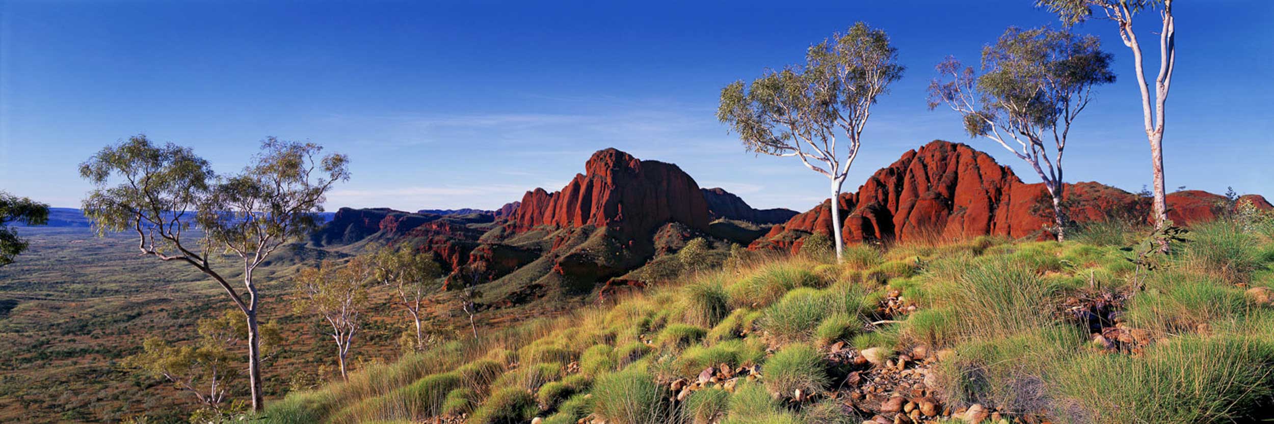 Ragged Range, WA